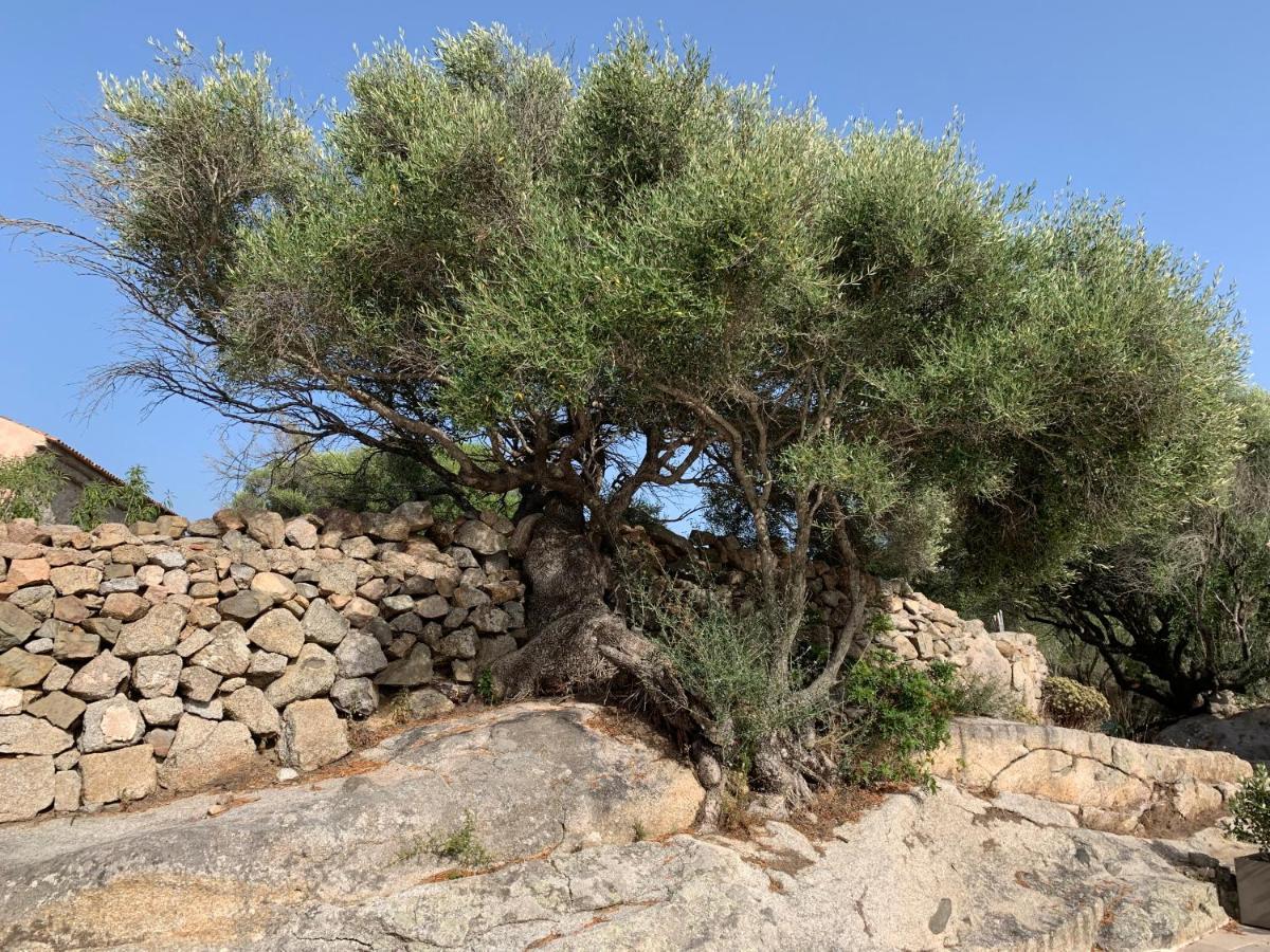 Maison d'hôtes Stazzu Nuraghe Mannucciu à Rena Majore Extérieur photo