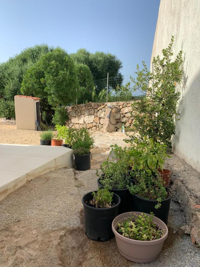 Maison d'hôtes Stazzu Nuraghe Mannucciu à Rena Majore Extérieur photo