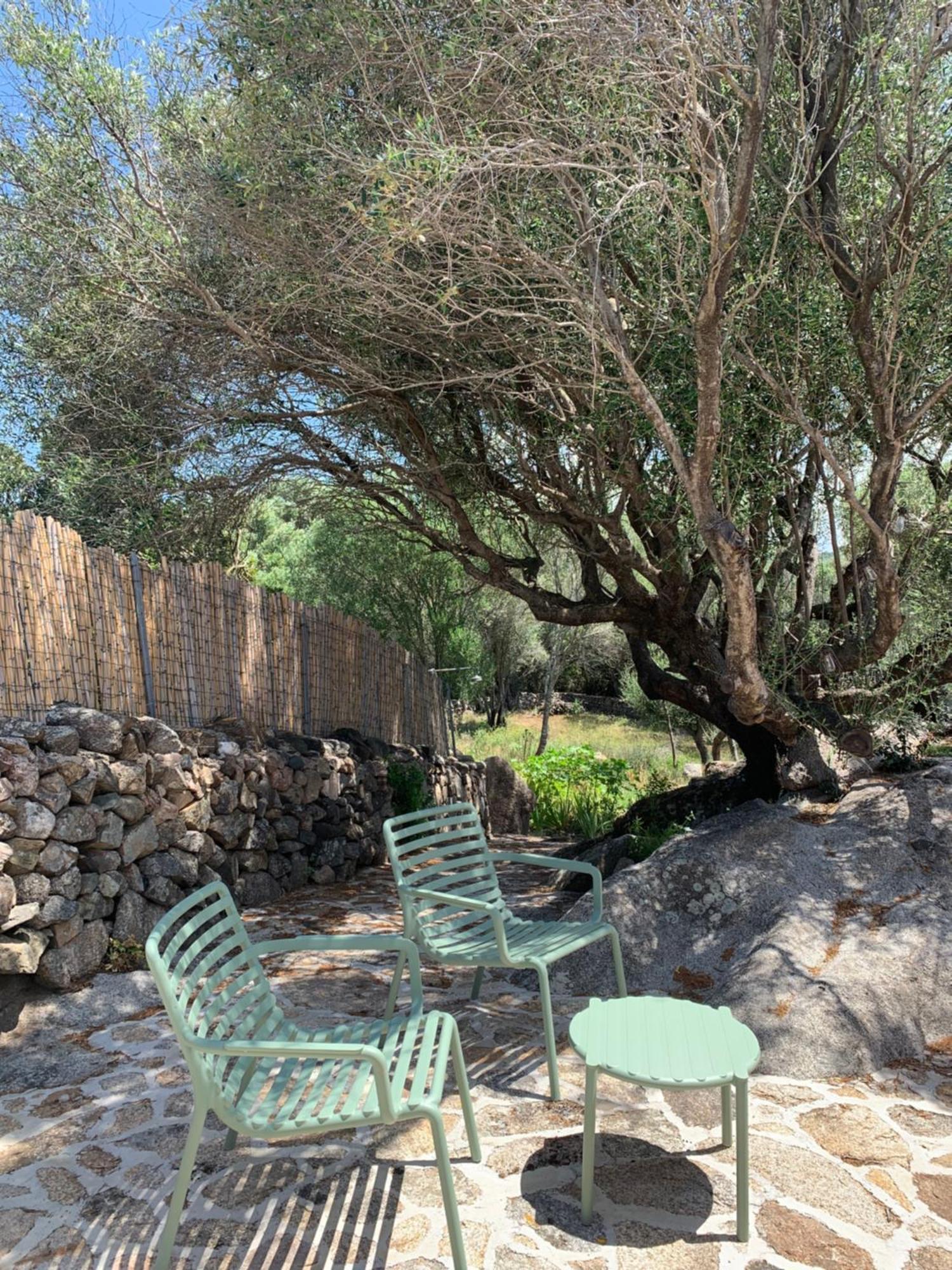 Maison d'hôtes Stazzu Nuraghe Mannucciu à Rena Majore Extérieur photo