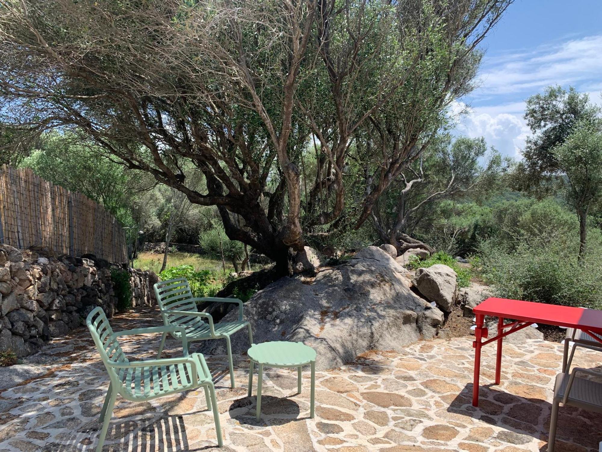 Maison d'hôtes Stazzu Nuraghe Mannucciu à Rena Majore Extérieur photo